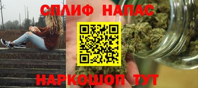 дмт Будённовск