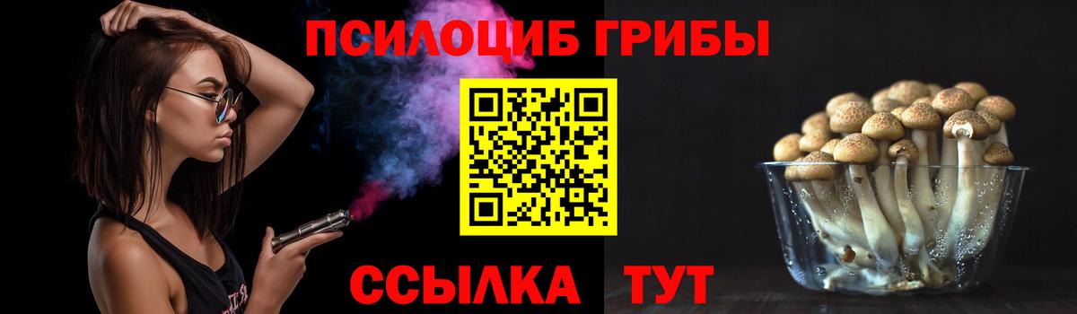 Ачинск  Псилоцибиновые грибы Magic Shrooms  купить наркотики сайты  Вход с VPN 